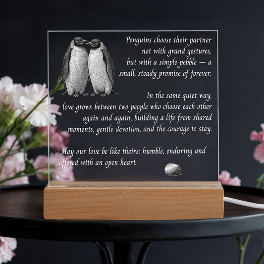 Penguins With A Pebble